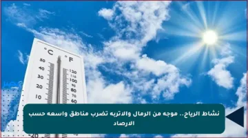 نشاط الرياح.. موجة من الرمال والأتربة تضرب مناطق واسعة حسب الأرصاد